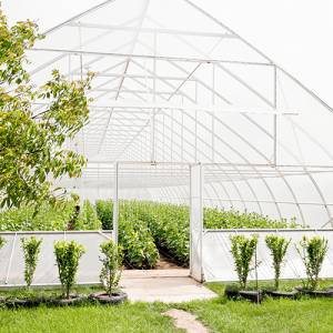 Polyhouse/Greenhouse GI Pipe Suppliers in Ghaziabad